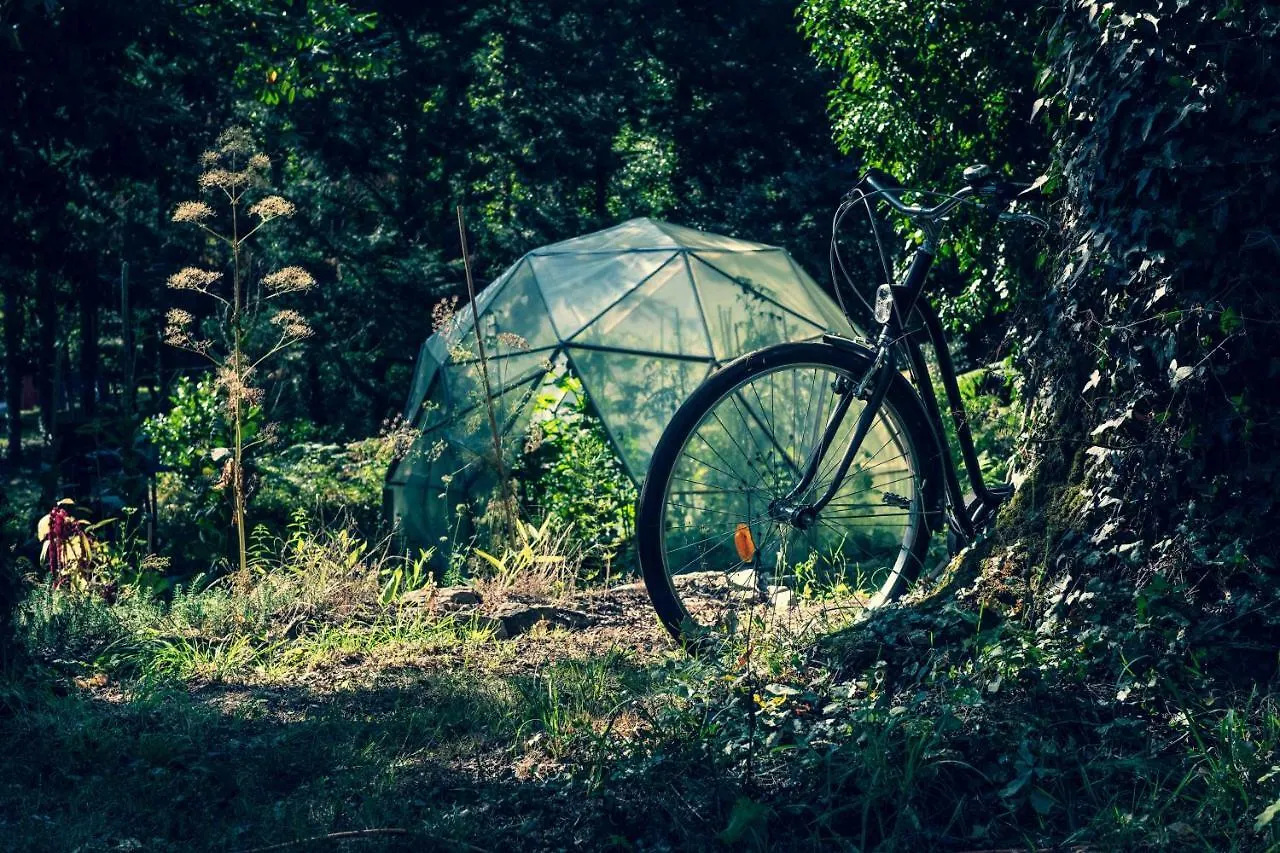 La Cabane Dans Les Bois ! contacts
